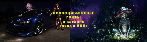 прущие грибы Алзамай