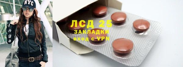 прущие грибы Алзамай
