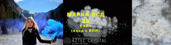 прущие грибы Алзамай