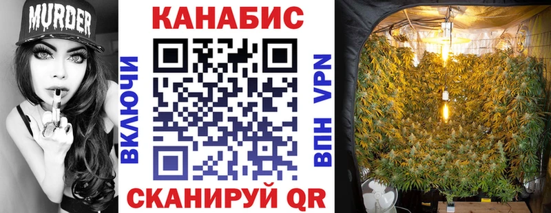 Конопля планчик Томари